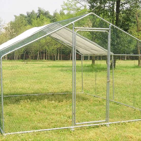 Enclos pour volailles 12m² - Structure galvanisée 4x3x2m - Image 4