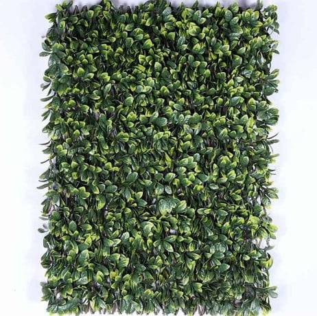 Treillis feuilles Troène doré - H 1 mètre, Long 18 m - Image 1