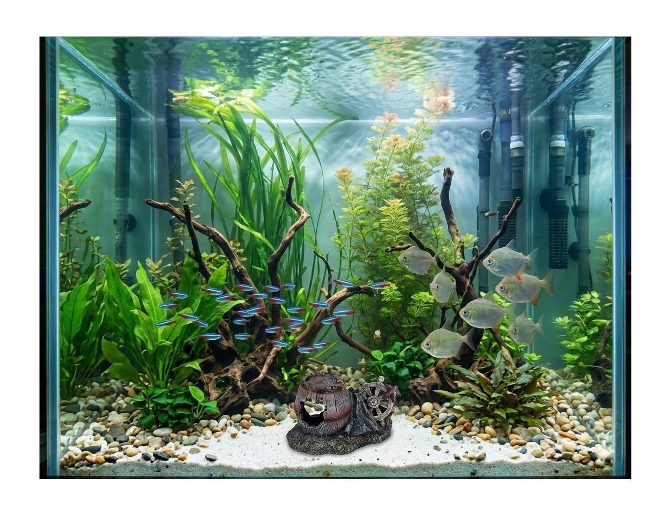 Eden - Décoration aquarium tonneau cassé gouvernail cachette pour poisson - Image 3
