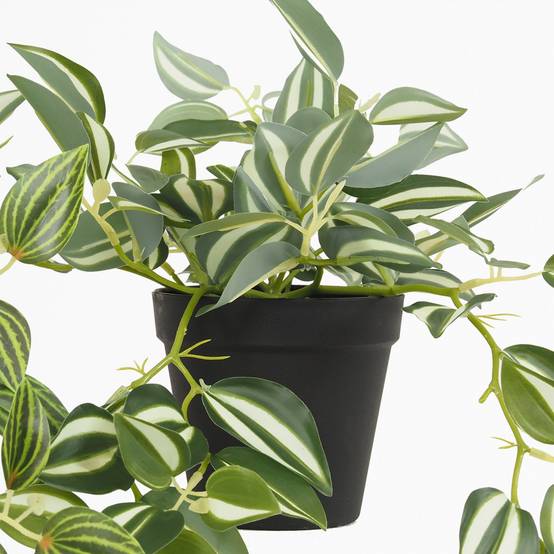 Ligne Deco - Plante verte artificielle tombante 50cm lot de 3 - Image 7