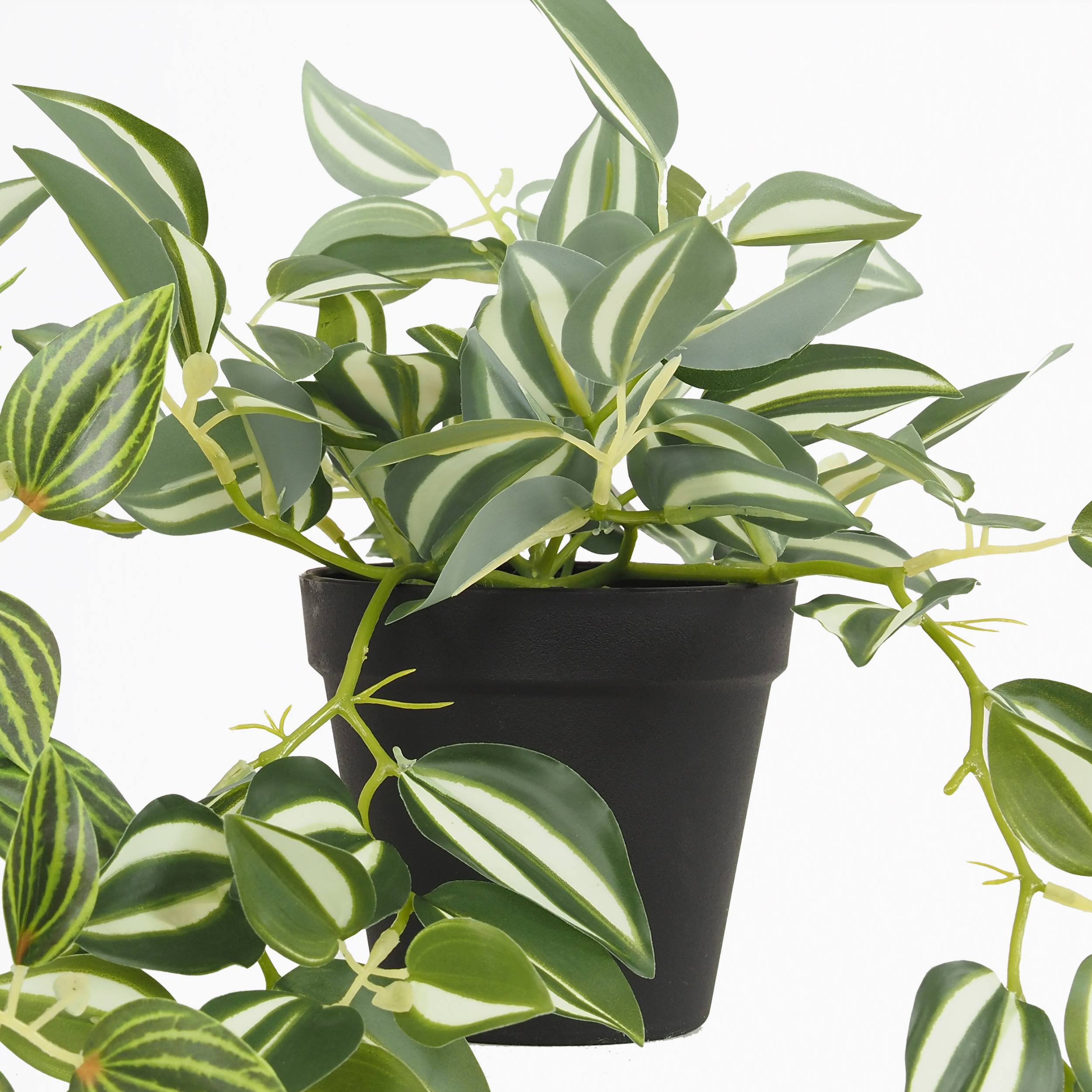 Ligne Deco - Plante verte artificielle tombante 50cm lot de 3 - Image 7