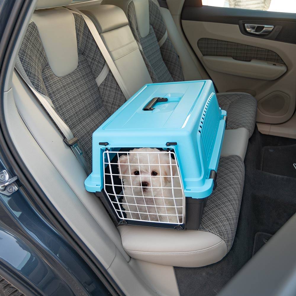 Ferplast - Ferplast Caisse de Transport Chat, Cage de Transport pour Chiens Petits et Chats jusqu'à 8 Kg, Porte en Fer Plastifié, Fentes d'aération, 37 x 58 x h - Image 3