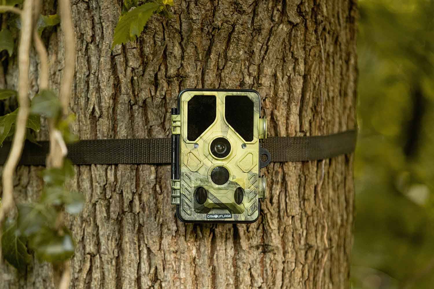Caméra de détection EZ45 | Wifi | Envoi sur Smartphone - Image 6