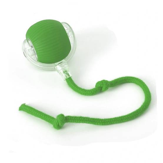IntiMeg - Jouet pour chat Balle automatique pour chat Vert IntiMeg - Image 1