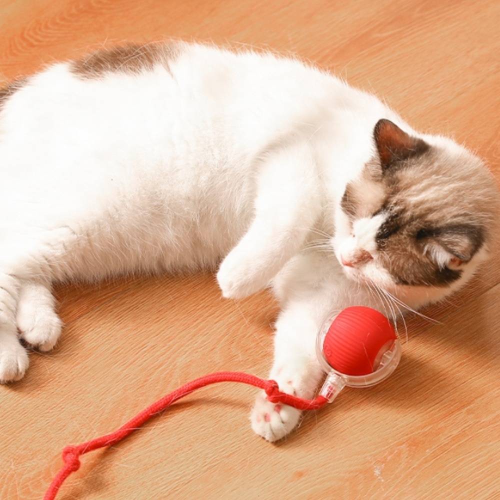 IntiMeg - Jouet pour chat Balle automatique pour chat Vert IntiMeg - Image 2