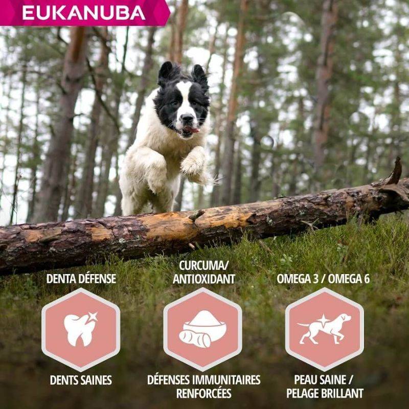 Eukanuba - CROQUETTES CHIEN SENIOR AGNEAU SMALL / MEDIUM - EUKANUBA 2,5 kg - Image 5