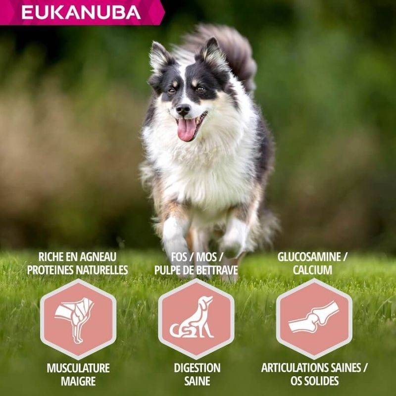 Eukanuba - CROQUETTES CHIEN SENIOR AGNEAU SMALL / MEDIUM - EUKANUBA 2,5 kg - Image 4