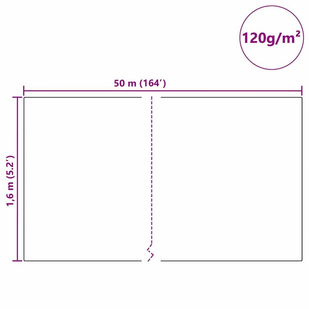 Voile Forçage et Hivernage Polyvalent Résistance UV Croissance Saine Plantes Potagères Blanc 50x1,6m – ComfortXL Outdoor Living - Image 8