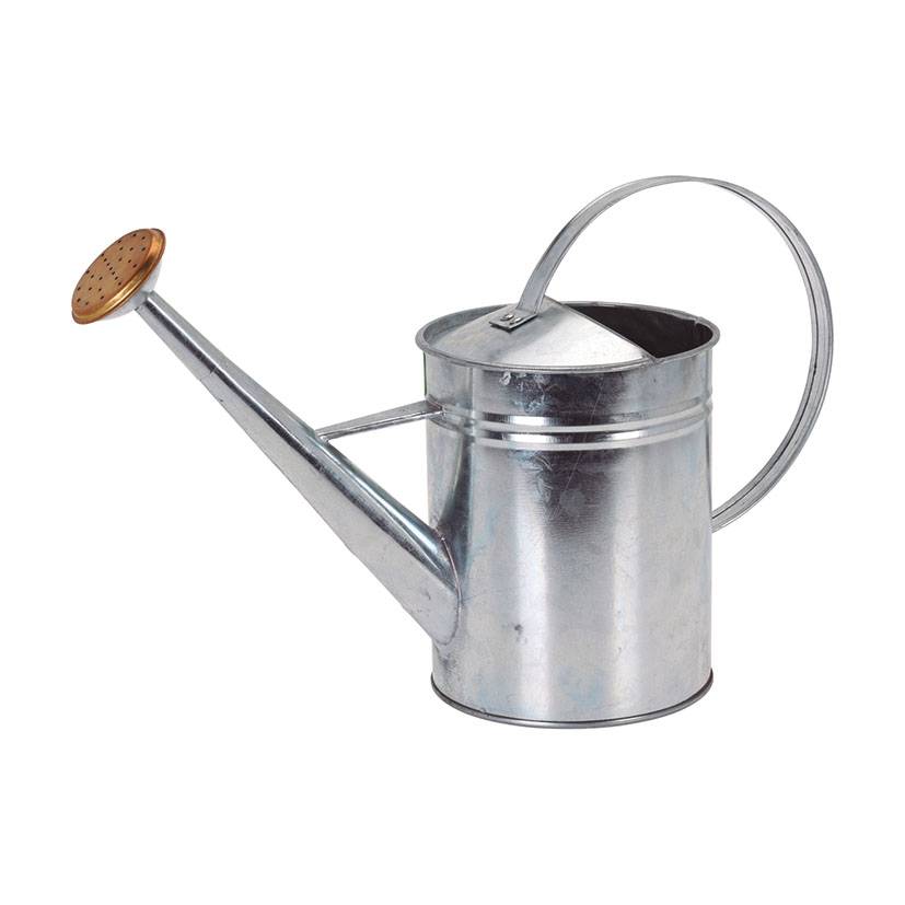 Arrosoir métallique Capacité 1900 ml