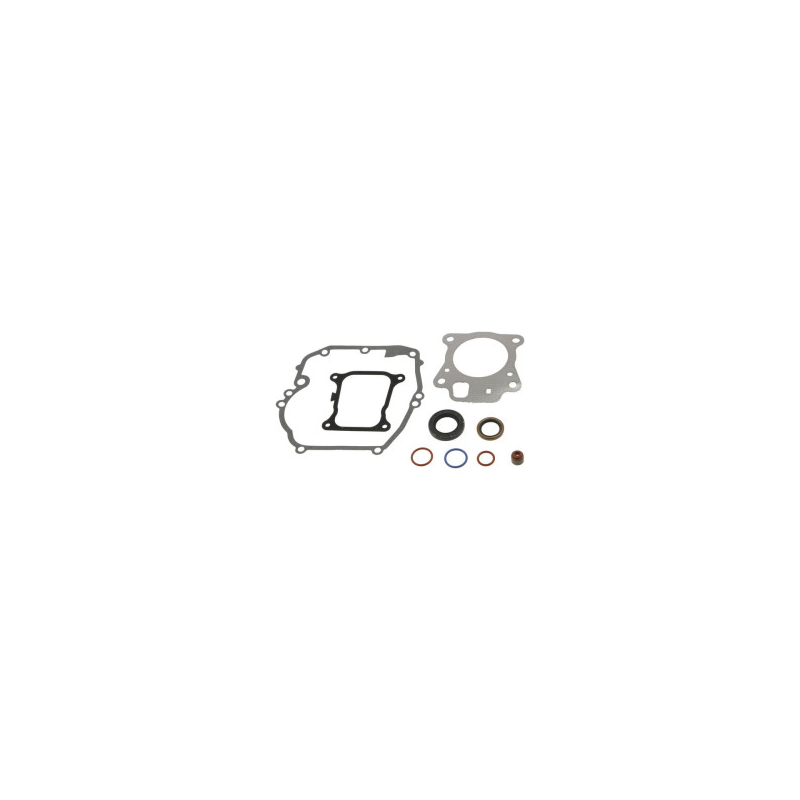 Briggs & Stratton - Jeu de joints Briggs et Stratton - 597320