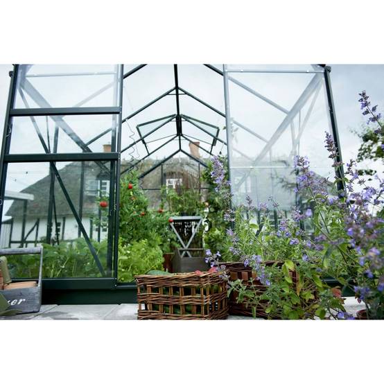 Halls - Serre en verre horticole 6,2 m² - Popular 106, vert - Halls - Image 2