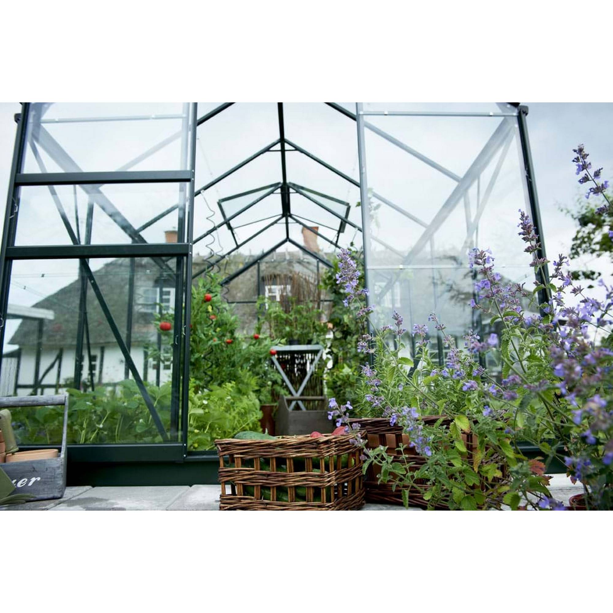 Halls - Serre en verre horticole 6,2 m² - Popular 106, vert - Halls - Image 2