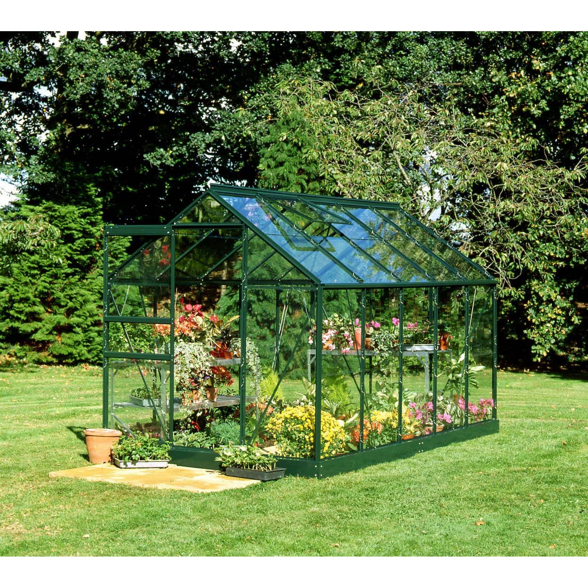 Halls - Serre en verre horticole 6,2 m² - Popular 106, vert - Halls - Image 1