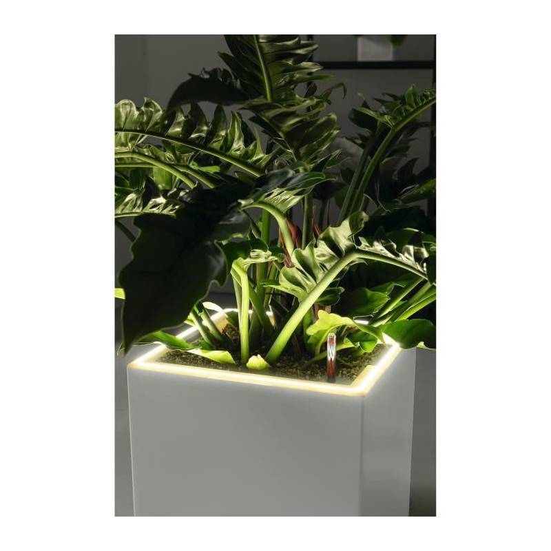 Lechuza - Pot De Fleur Lechuza Canto Premium Cube 40 - Kit Complet Led, Anthracite Métallisé - Image 5