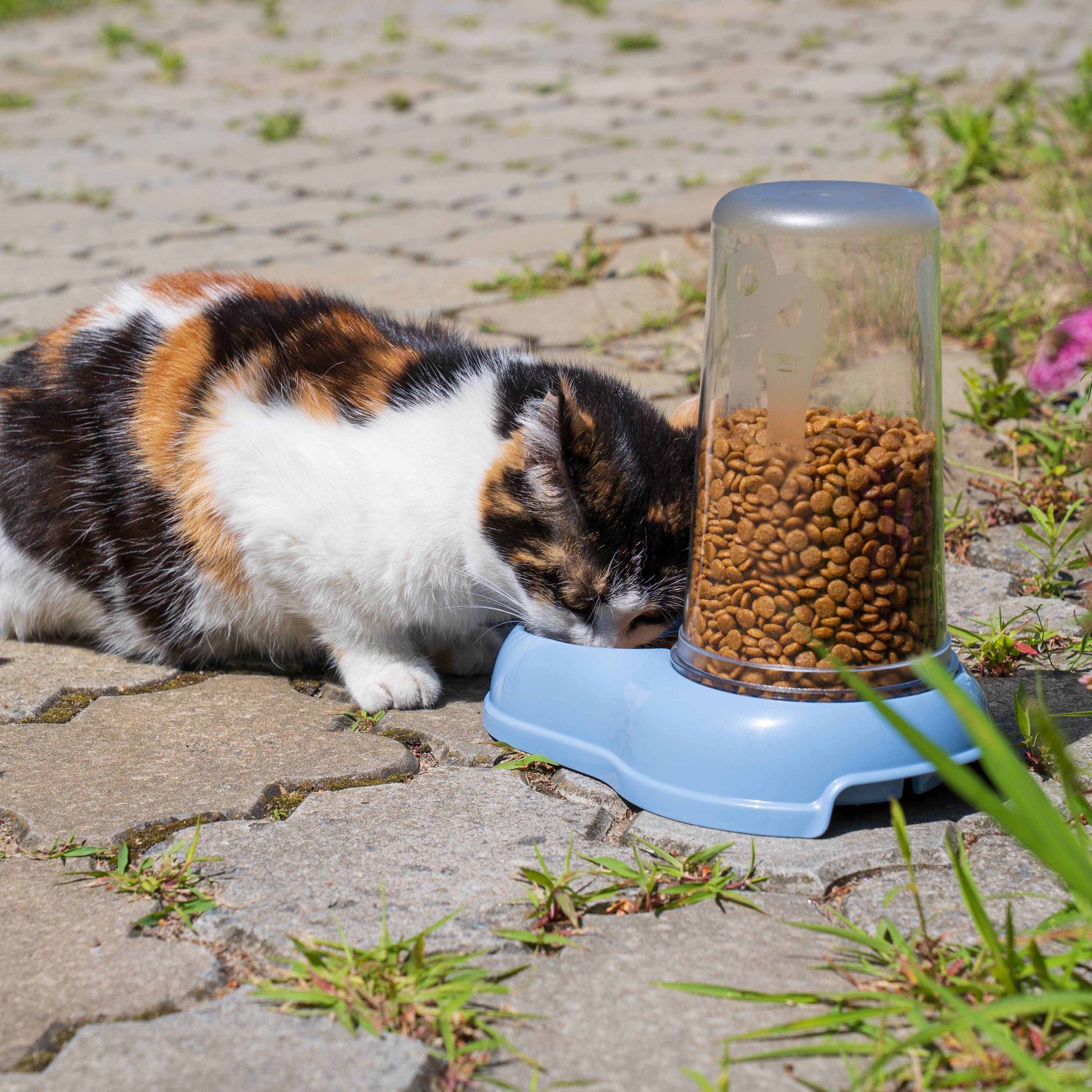 Ferplast - Ferplast Distributeur de nourriture ou d'eau pour chiens et chats AZIMUT 1500, Distributeur de nourriture sèche 1,5 litre, fond antidérapant, 16,5 x - Image 4