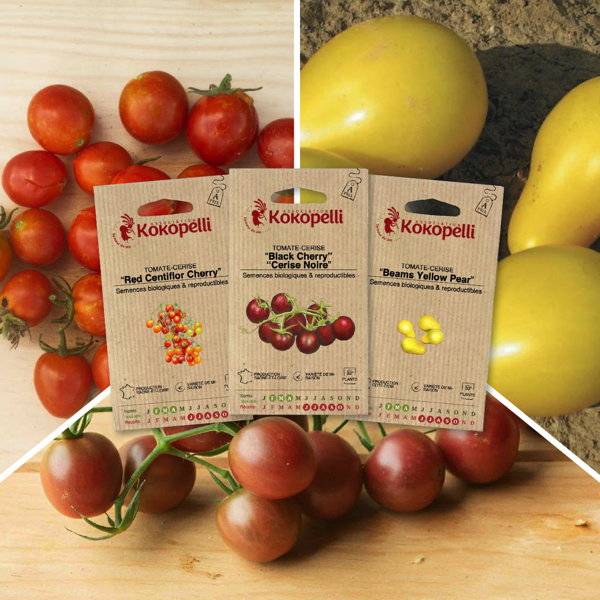 Tomates-cerise apéro - 3 sachets de graines bio à semer - Image 1