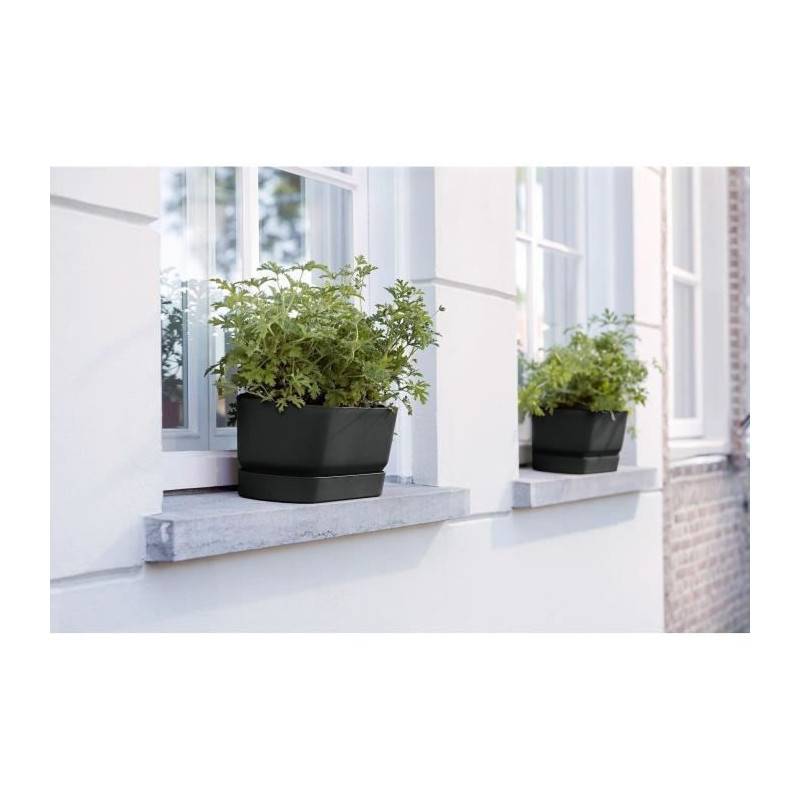 Elho - Planteur Ovale Greenville - Plastique - ø70 - Noir - Image 5