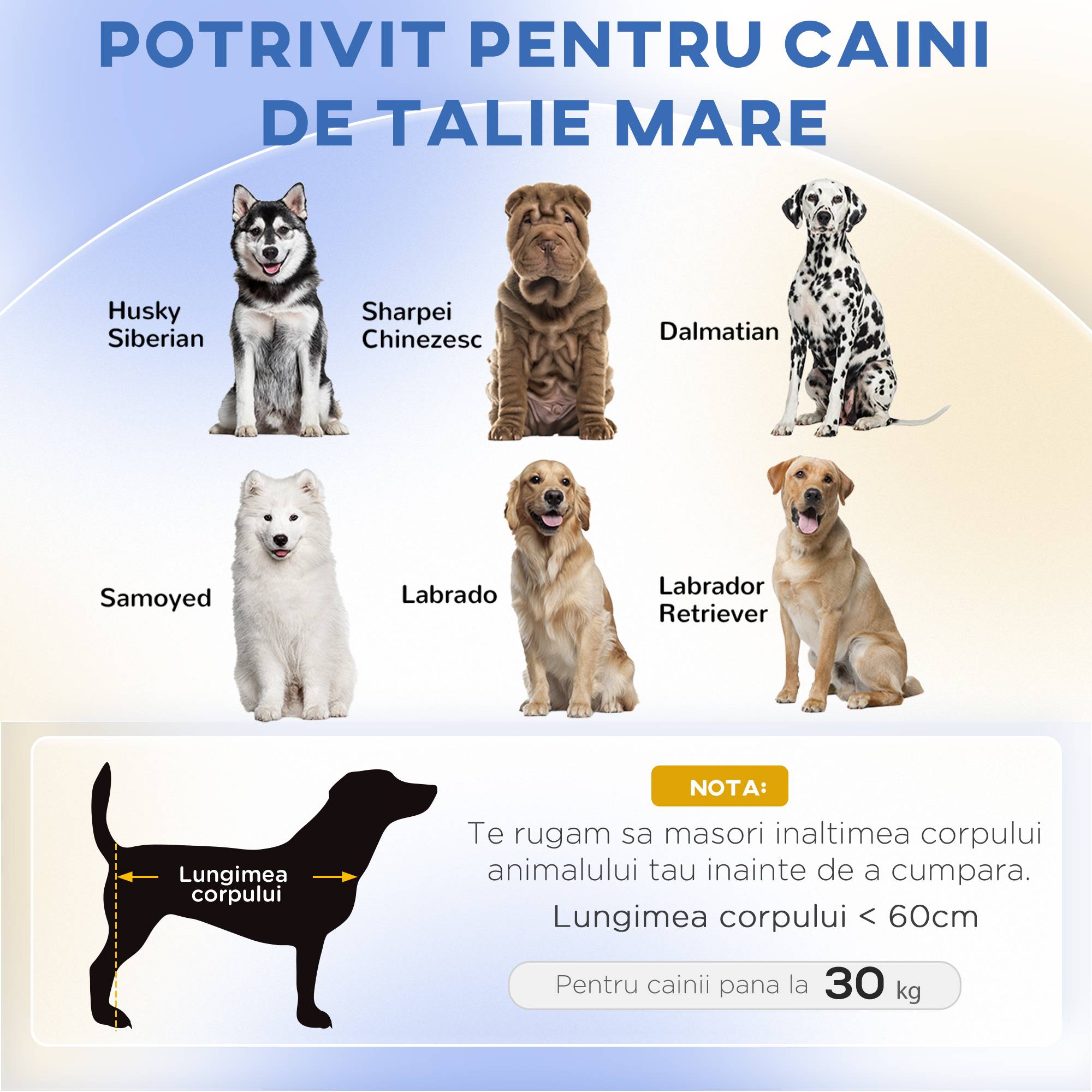 Canapé pour chien, polyester, vert, 98 x 67 x 25 cm - PANGIVO - Image 4