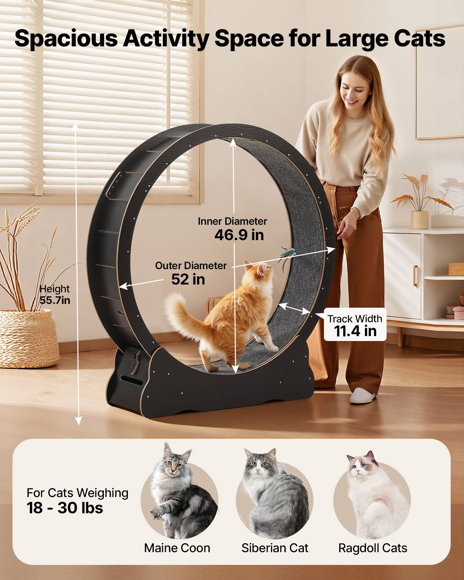 Vevor - VEVOR Roue d'Exercice pour Chat Intérieur 8,2-13,6 kg 132 cm Piste Moquette Noir - Image 2