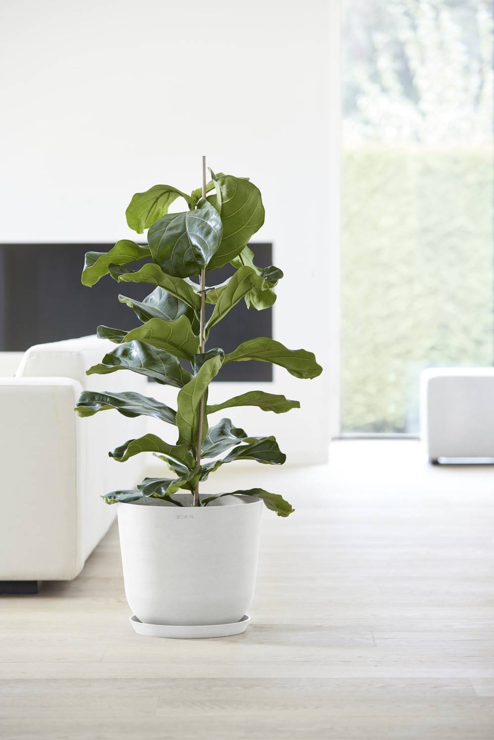 Ecopots - Pot Rond Oslo 35 Blanc Pur - Ø 35 x H. 30,5 cm - 21,7 L ECOPOTS - Image 3