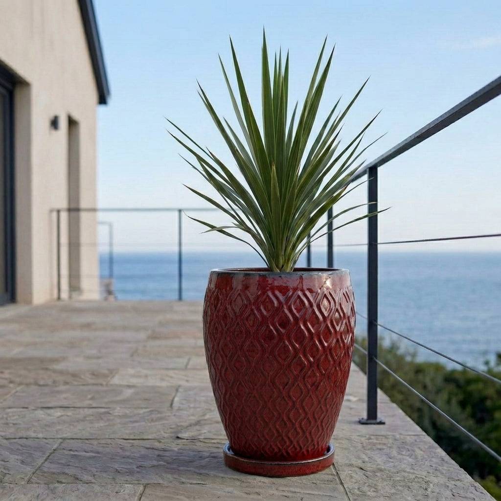 Provencelia - Soucoupe ronde 15cm rouge tropical - Image 7