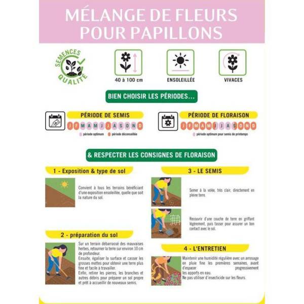 BHS - Mélange de fleurs pour papillons - BHS - 230 g - 39 variétés vivaces et annuelles - Image 4