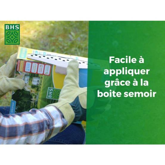 BHS - Mélange de fleurs pour papillons - BHS - 230 g - 39 variétés vivaces et annuelles - Image 3