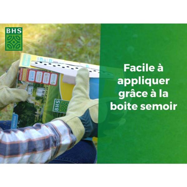 BHS - Mélange de fleurs pour papillons - BHS - 230 g - 39 variétés vivaces et annuelles - Image 3