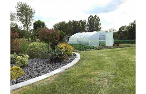Serre de jardin - 37,5m² - 5 x 7,5m - pied droit 1,20m - polyéthylène haute densité - 1 porte pivotante - aérations latérales - LES SERRES TONNEAU - Image 7