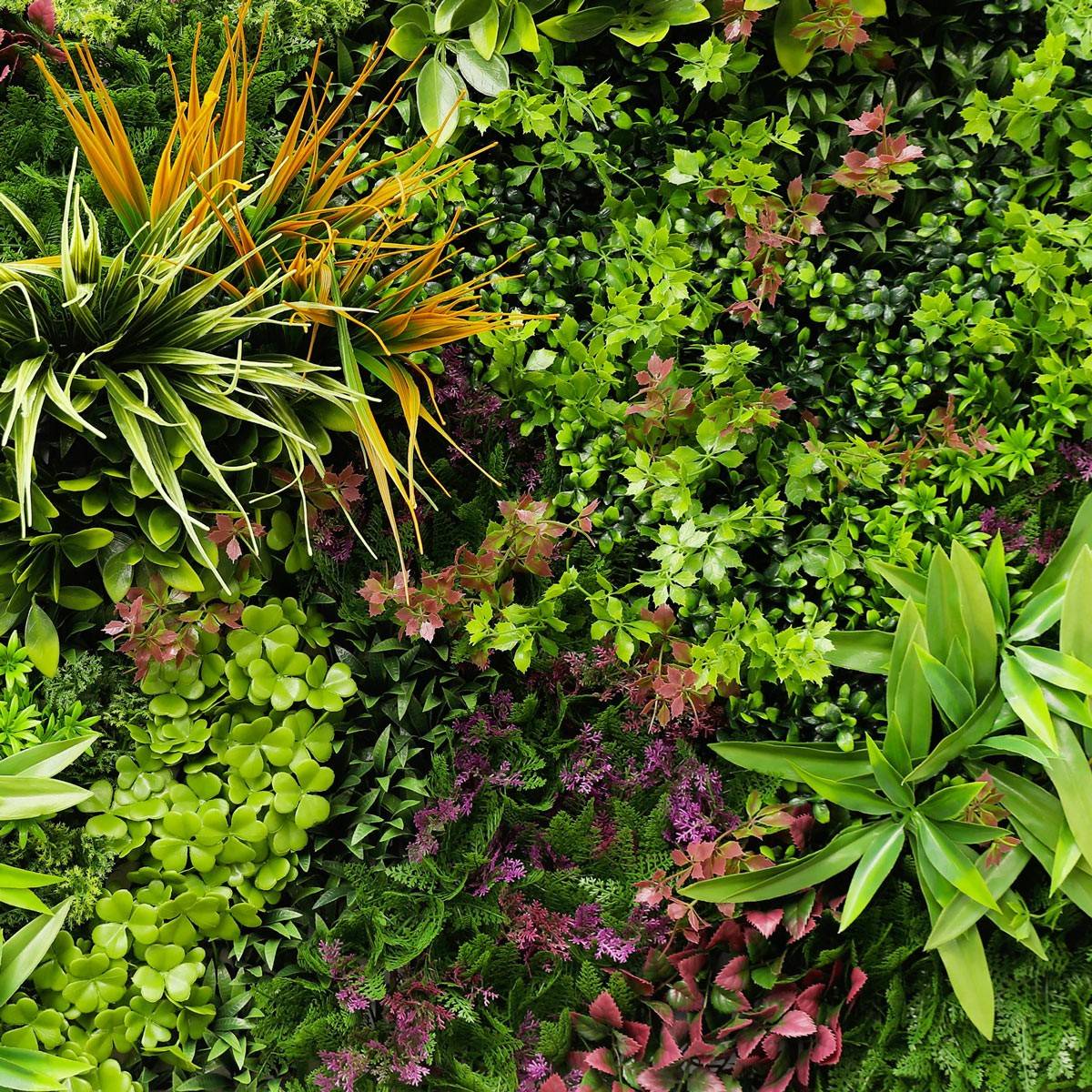 Wood-Colors Mur vegetal artificiel plaque de 1mx1m Le Coloré - Image 2