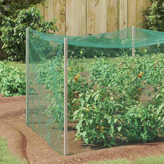 Filet de Protection Anti-oiseaux Polyéthylène pour Balcon et Potager Vert 2 x 5 m - ComfortXL Outdoor Living - Image 1