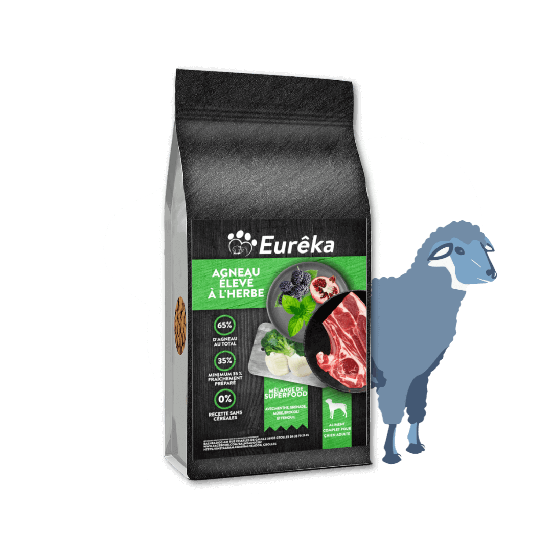 Croquettes chien adulte holistic sans céréales - Agneau élevé à l'herbe - 12 Kg - Image 1