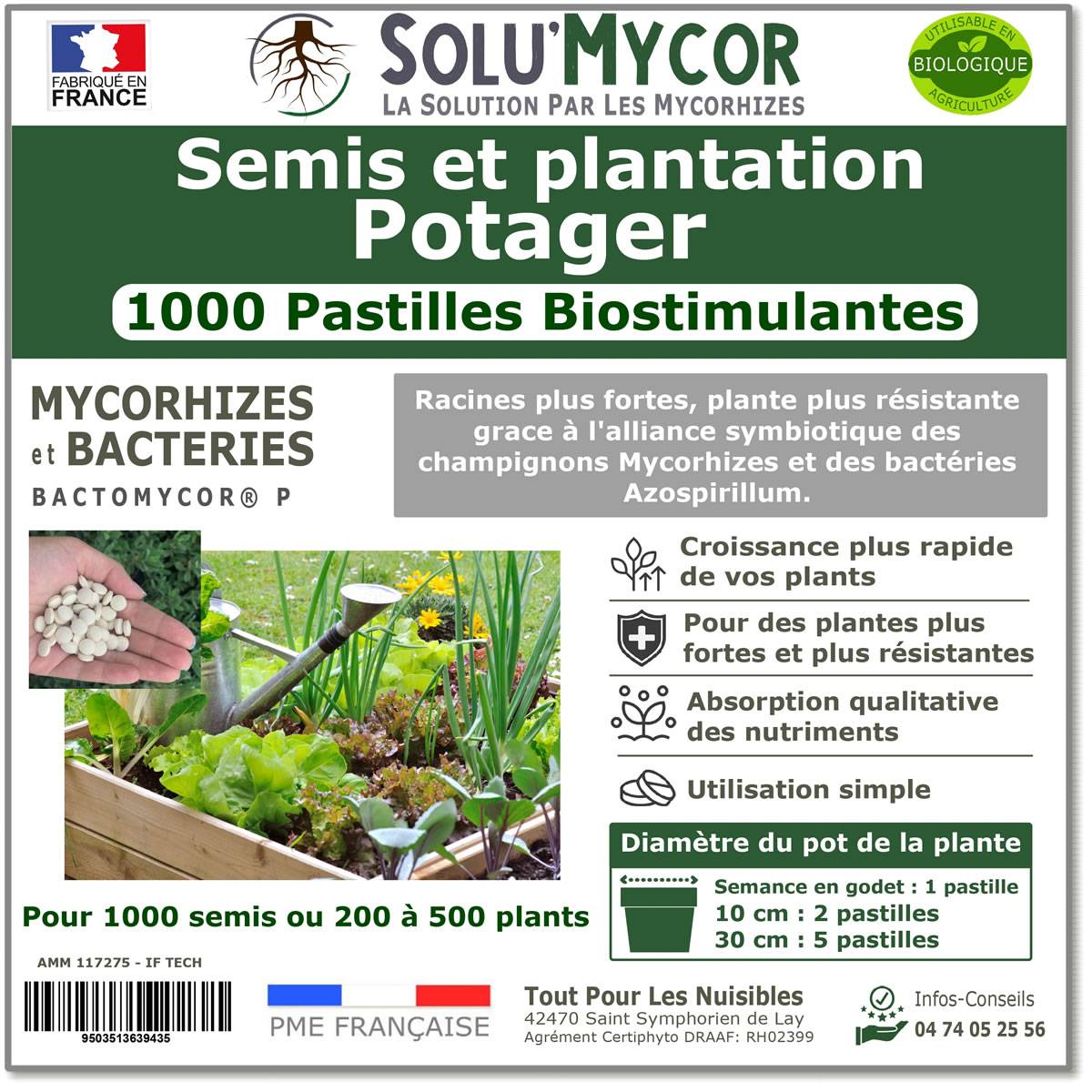 SoluMycor – 1000 Pastilles Biostimulantectéries Azospis Potager – Semis & Plantation – Mycorhizes & Barillum – Favorise le Développement Racinaire