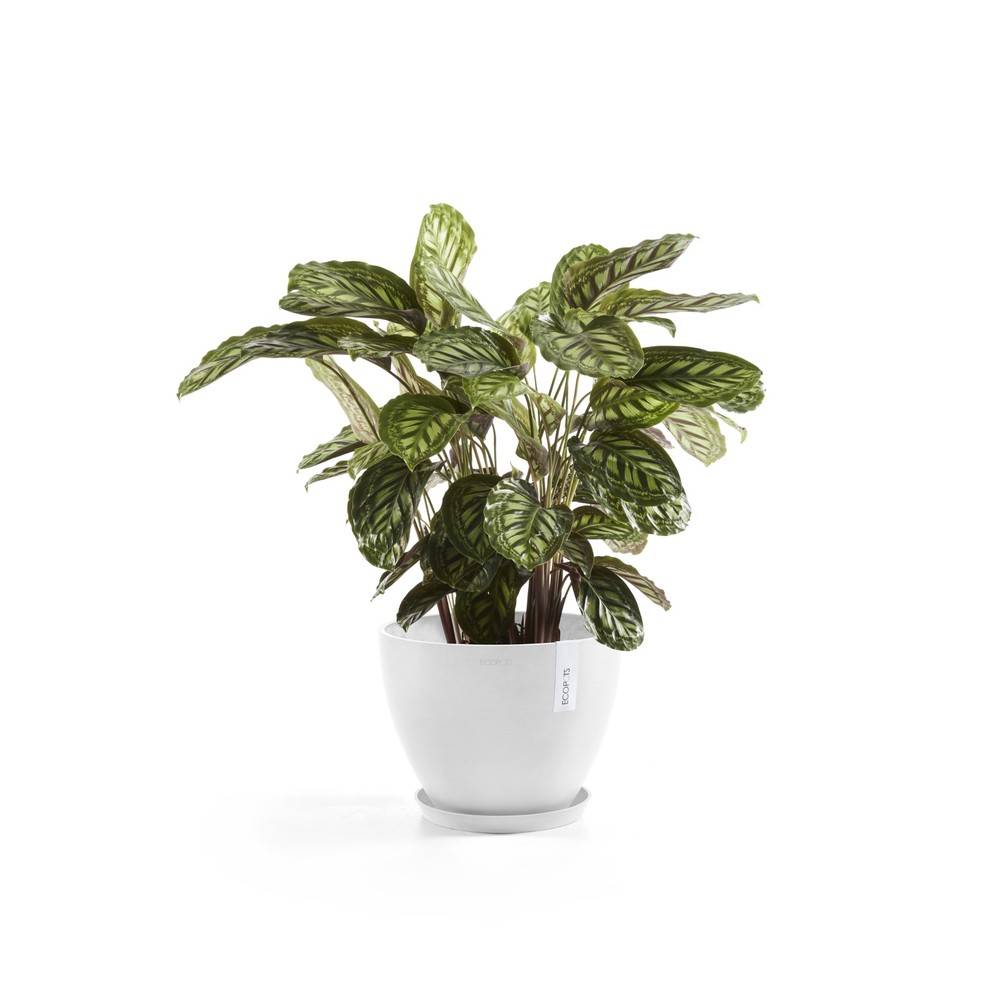 Ecopots - Pot Antwerp 30 Pure White ECOPOTS - Image 2