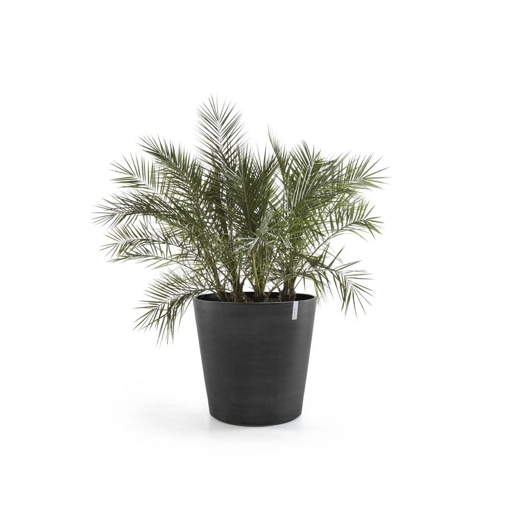 Ecopots - Grand pot sur roues Amsterdam 60 Gris Foncé - Ø 60 x H. 56 cm - 100 L ECOPOTS - Image 1