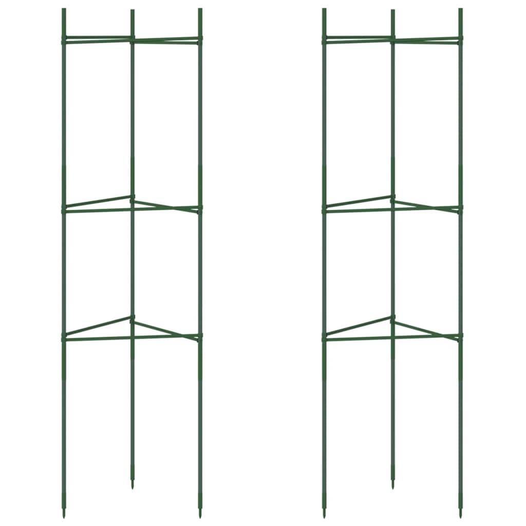 PANGIVO - Cage à tomates acier et polypropylène vert 32 x 29 x 116 cm - PANGIVO - Image 2