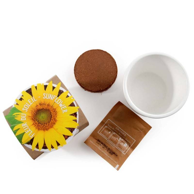 Radis et Capucine - Graines de Tournesol à semer dans un pot en céramique - Image 3
