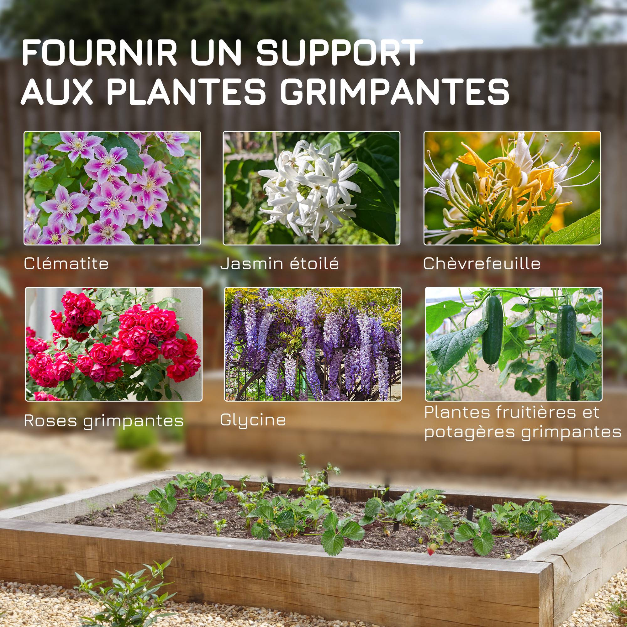 Lot 4 Treillis Jardin Acier Plantes Grimpantes Séparation Espace Extérieur 50x180cm Noir - ComfortXL Outdoor Living - Image 6