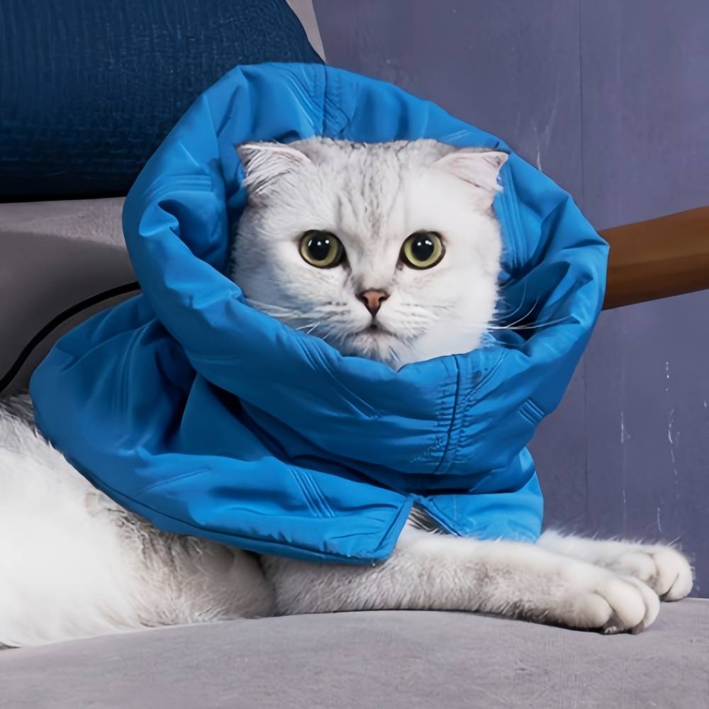 IntiMeg - Collier anti-lèchage pour chat Bleu foncé S IntiMeg - Image 7