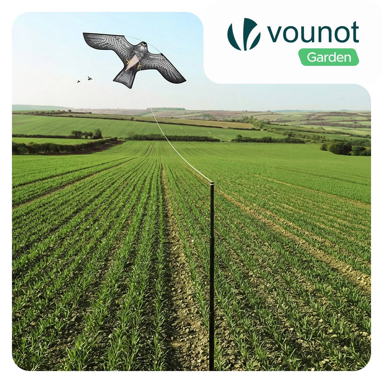 Cerf volant anti oiseaux effaroucheur avec mat Faucon modele C - Image 2