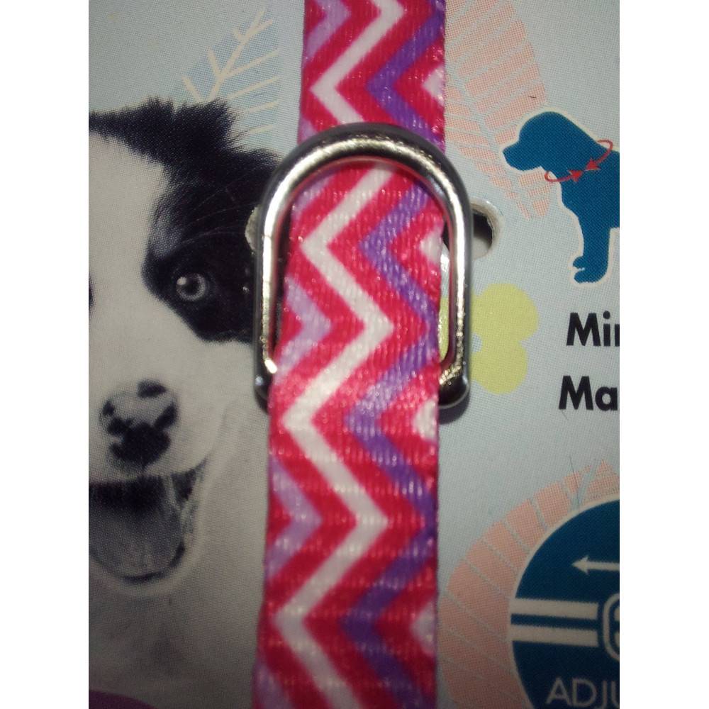Zolux - zolux - Collier PUPPY PIXIE 8 mm 16 à 25 cm couleur rose pour chiots - Image 5