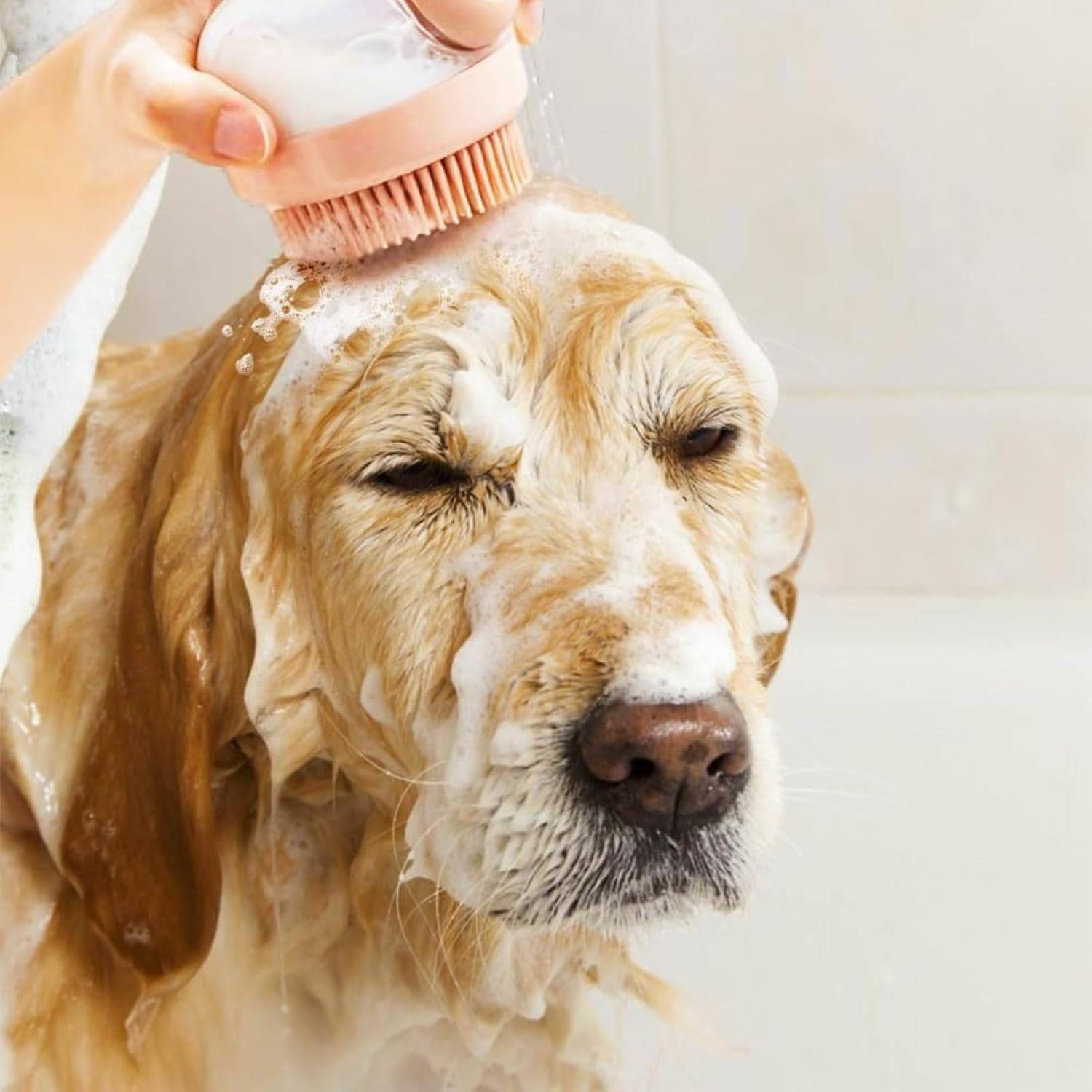 DtopbuyAge - Brosse de Bain pour Chien/Chat - Distributeur Intégré DtopbuyAge - Image 3