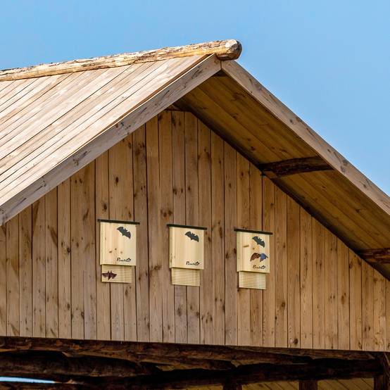 Nichoir à chauves-souris lot de 3 bois de sapin naturel et noir 25 x 6 x 37.5 cm - PANGIVO - Image 4