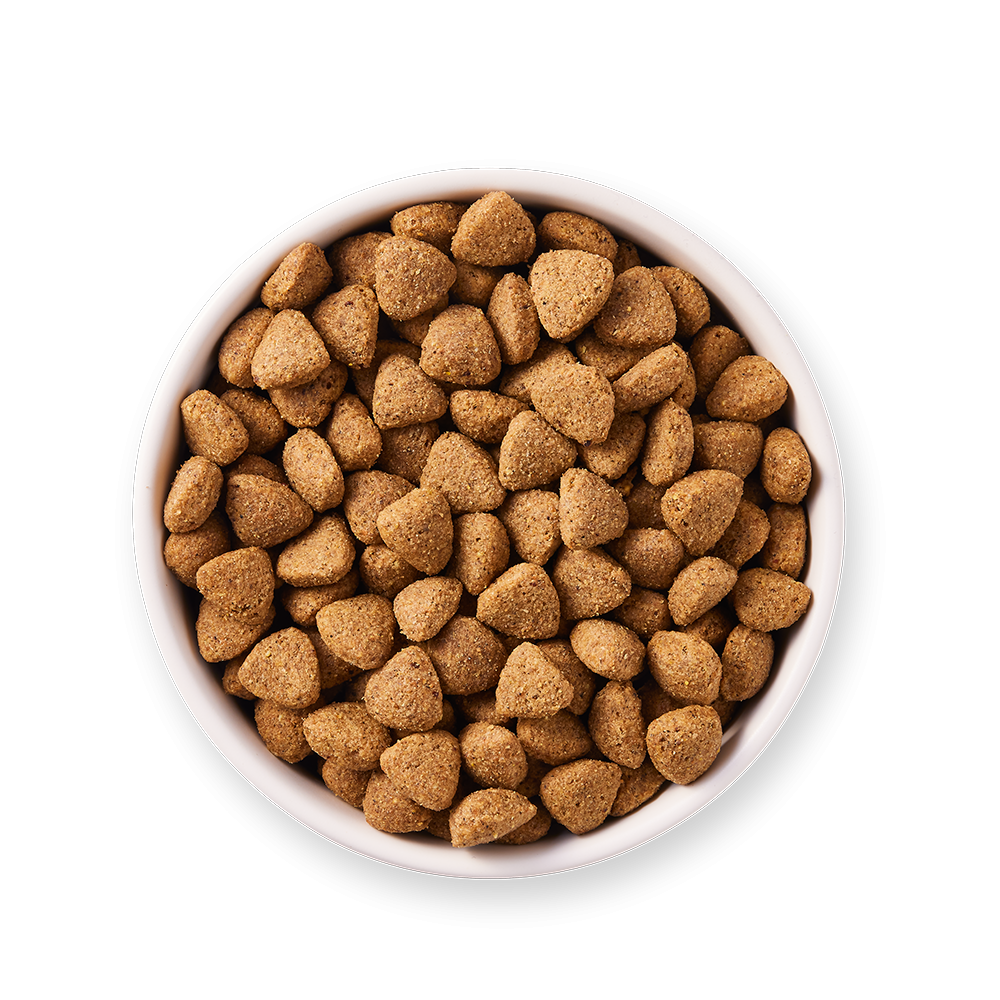 Yarrah - Croquettes Biologiques Végétariennes pour Chien - Image 4