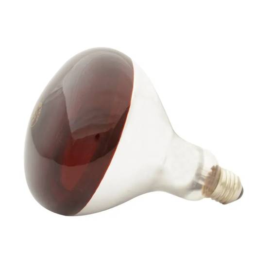 Autre - Ampoule infrarouge pour éleveuse 60 W - Image 3