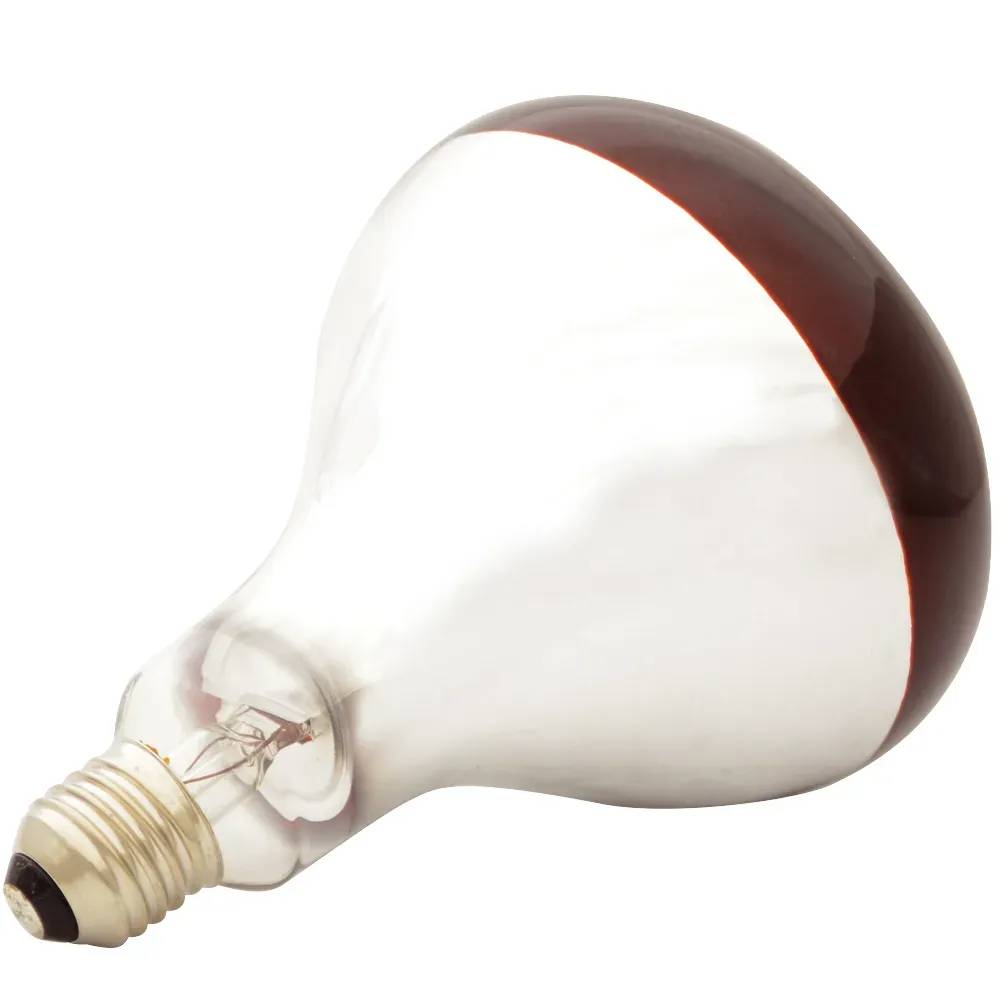 Autre - Ampoule infrarouge pour éleveuse 60 W - Image 1