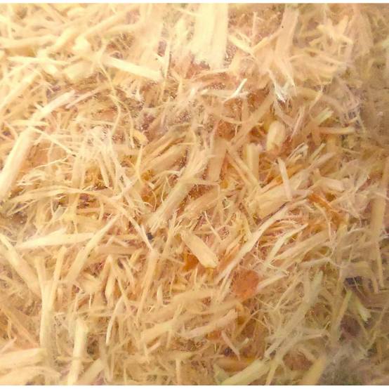 Zoomed - Litière pour serpents Aspen de Zoo Med de 4.4 litres - Image 3