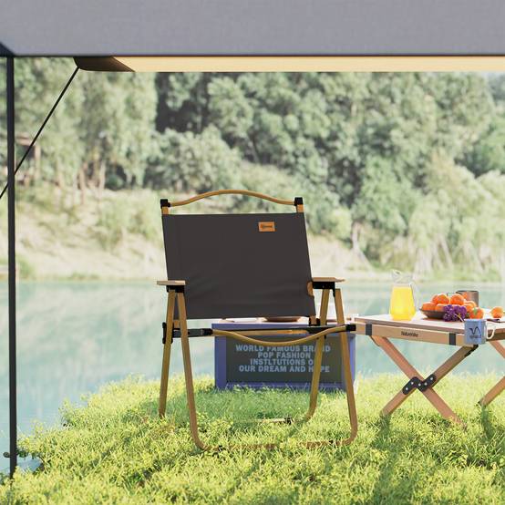 Chaise de camping pliante acier et tissu gris foncé 54 x 59 x 78 cm - PANGIVO - Image 9