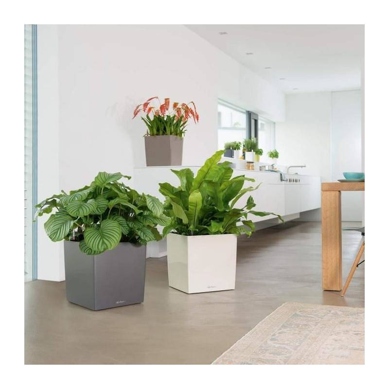 Lechuza - Pot De Fleur Lechuza Cube Premium 50 - Kit Complet, Noir Brillant - Image 5