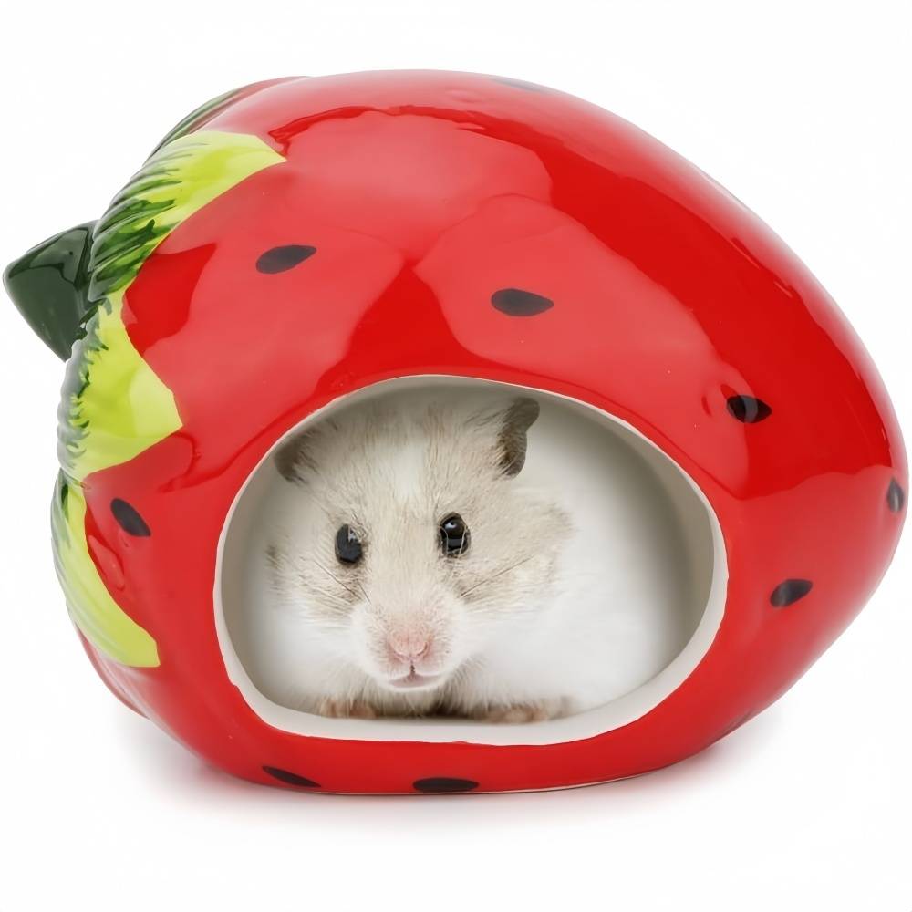 DtopbuyAge - Maison Céramique Pour Oiseaux Hamsters Cobayes DtopbuyAge - Image 1